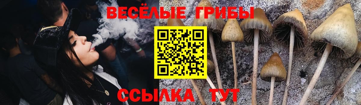 Галлюциногенные грибы прущие грибы Тайшет