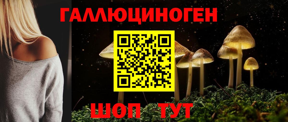 Тайшет  Псилоцибиновые грибы Magic Shrooms  Вход с VPN 